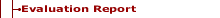 Evaluation Report