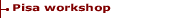 Pisa workshop